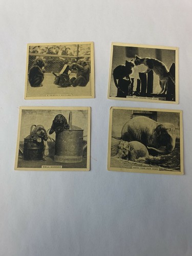 Vintage godfrey phillips - vintage,