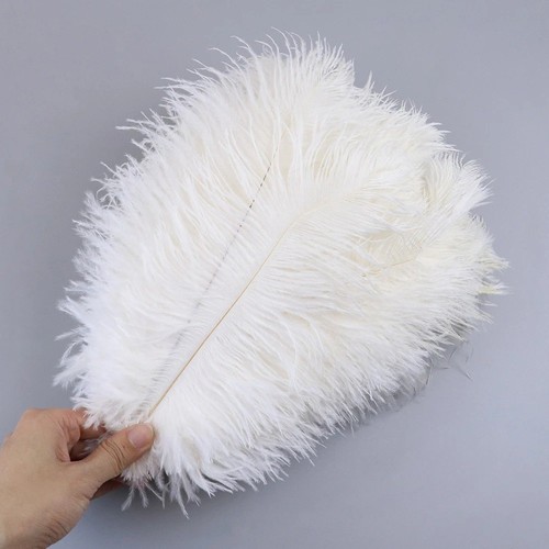30cm black natural ostrich - 5-30cm,