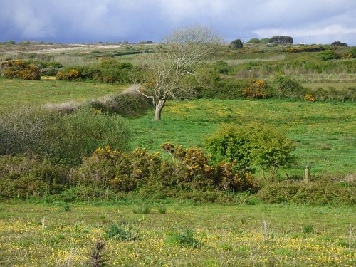 Photo 6x4 pasture - photo,