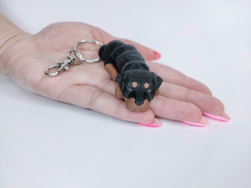 Printed rottweiler dog - printed,