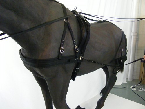 Libby basic driving harness - libby's,