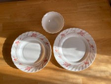 Arcopal Dinner Set - Floral