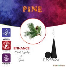 200 Jumbo Charcoal Incense Cones 2" TOPFLOW Bulk For Burner Holder Variety Lot