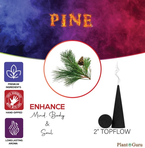 200 jumbo charcoal incense - 200,