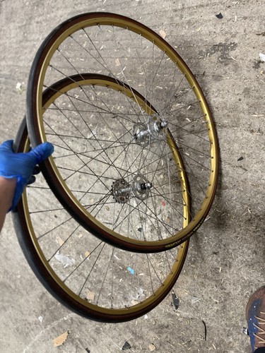 Campagnolo record track - campagnolo,