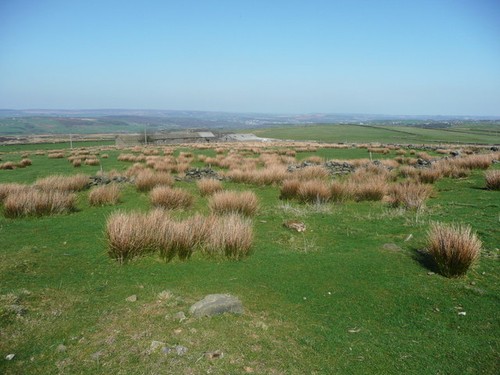 Photo 6x4 view towards - photo,
