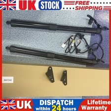Pair Electric Tailgate Gas