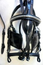 Studded Chain BB FULL Driving