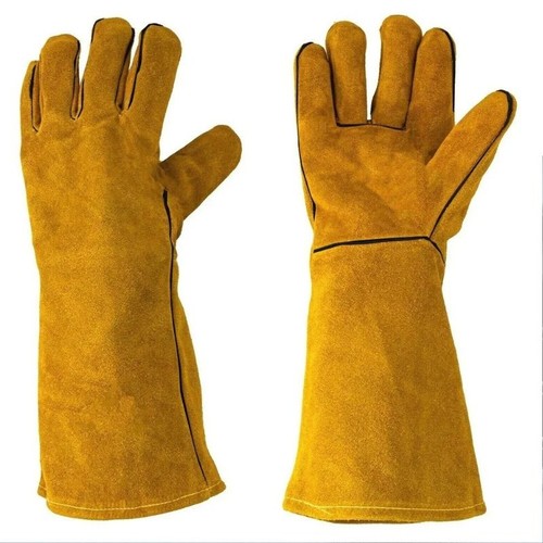Thorn proof gardening - thorn,