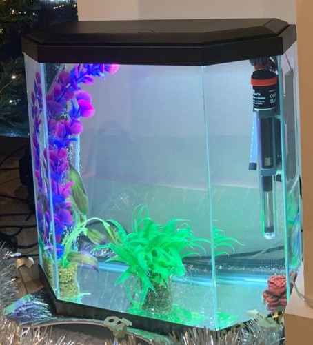 25l aquarium fish tank - fish, with