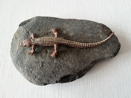 Natural vivarium basking rock - vivarium,
