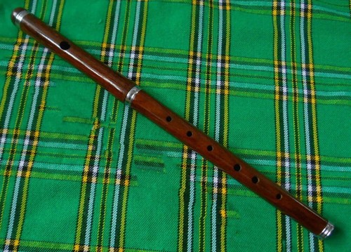 Flute marching band - flute,