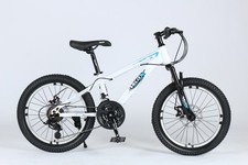 20Inch Kids Bike Boys Girls