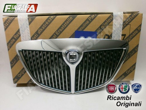 Radiator grill with emblem - grill,