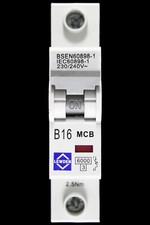 LEWDEN 16 AMP CURVE B 6kA MCB