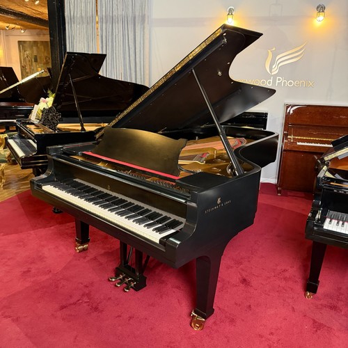 Steinway sons model d - steinway,
