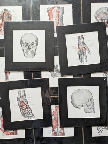 Vintage 1960s medical - vintage,