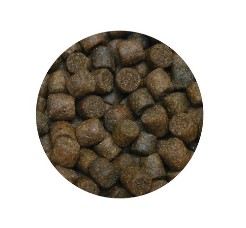 Skretting coarse elite trout - skretting,