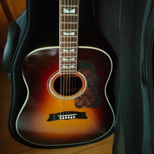 Acoustic guitar morris 702 - acoustic, mg-702