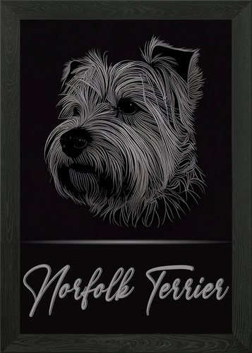 Elegant norfolk terrier framed - norfolk,