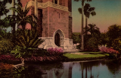 Vintage postcard singing tower - postcard,