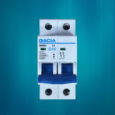 GACIA 6 Amp Double Pole MCB