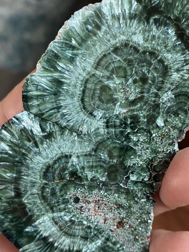 Seraphinite slab see - seraphinite,