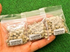 1 Crinoid Bag 20g Sea Lily Stars Real Fossil ✔Cambrian ✔ Shark UK Quick Postage✔