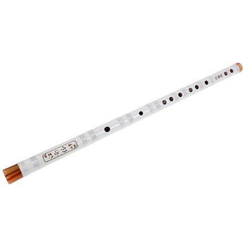 Beginner bamboo flute - beginner,