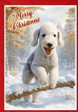 Bedlington Terrier Dog