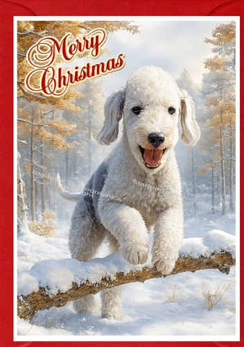 Bedlington terrier dog - terrier,