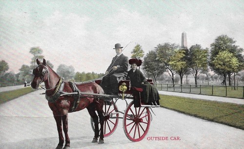 Irish jaunting car outside - jaunting, /