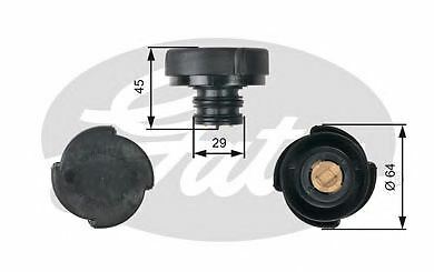 Engine radiator cap gates - engine,