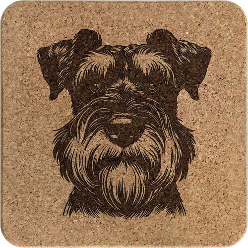 Giant schnauzer portrait - 'giant,