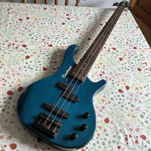 Tanglewood rebel electric - tanglewood,