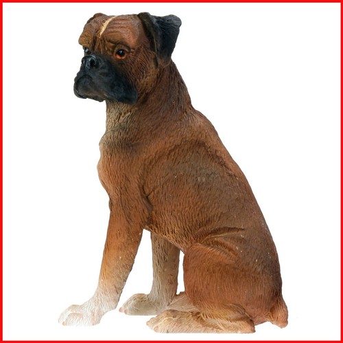 Summit collection boxer - collection, dog