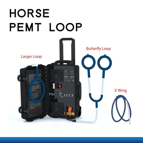 Equine pemf horse - pemf, magnetic