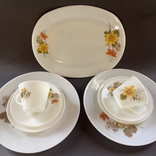 Vintage jaj pyrex autumn glory - autumn,
