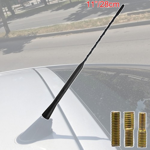 Car beesting bee sting - car,