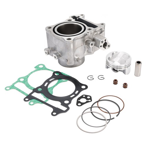Cylinder piston gasket kit for - cylinder,