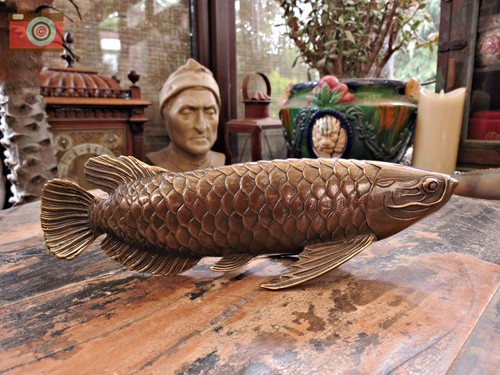 Stunning koi carp - stunning,