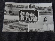 Greetings from fraserburgh - greetings,