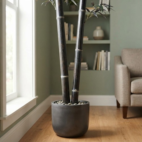 Unique black bamboo garden - black,