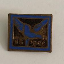 NSPCC League of Pity Pin Badge