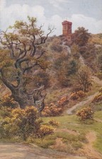 Surrey Postcard - Leith Hill