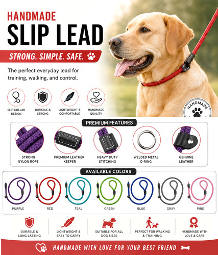 Dog pet slip - dog, hand
