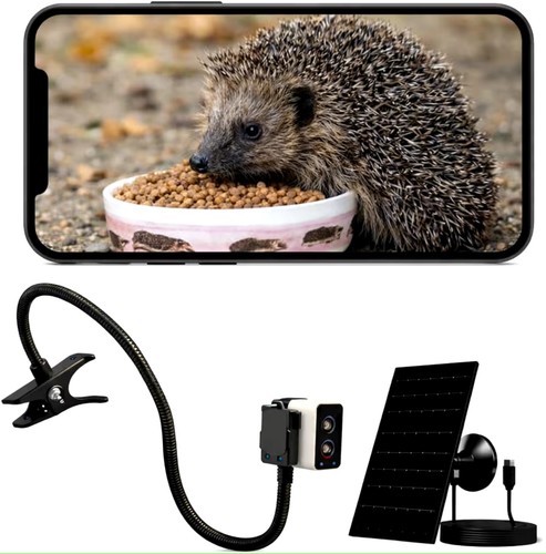 Hedgehog house entrance - house, camera