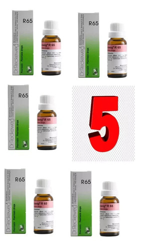 5xdr reckeweg r65 skin - reckeweg,