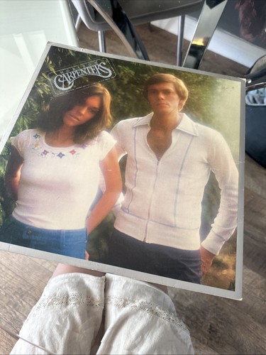 Carpenters horizon vinyl - vinyl, lp