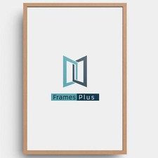 Picture Frame Modern Poster